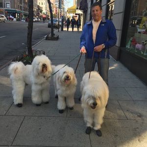 Meet your Posher, Harold